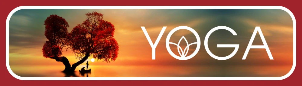 Opal YOGA 4-nitka ponožková příze č. 11665 Zuneigung